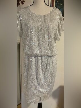 Grace Karin Silver Sequin Dress